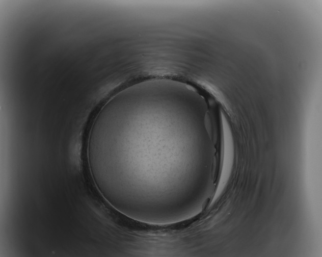 X0000088380627200705291348