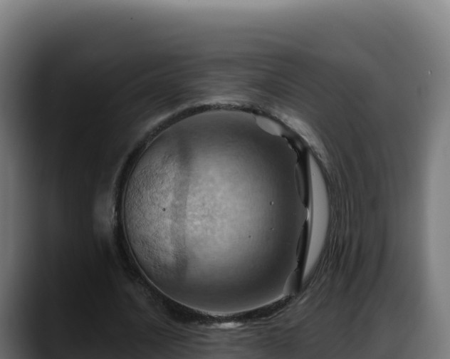 X0000088380628200705291348