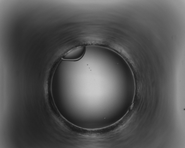 X0000088380629200705291348