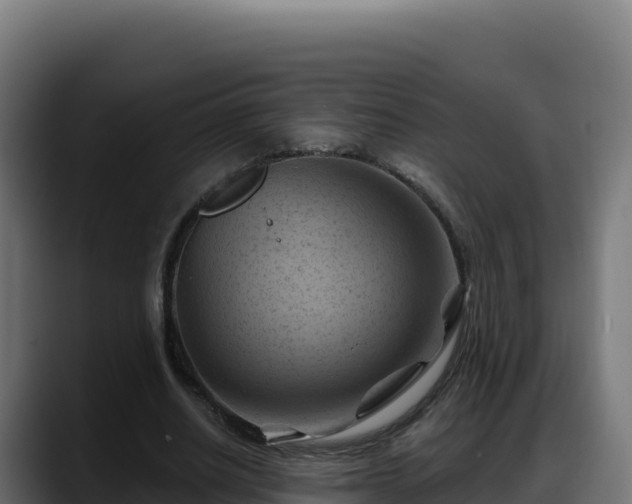 X0000088380630200705291348