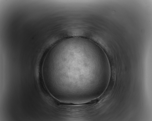 X0000088380631200705291348