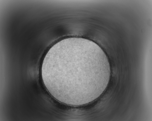 X0000088380632200705291348