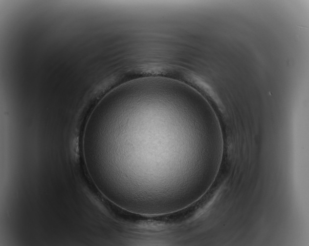 X0000088380633200705291348