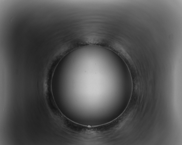 X0000088380635200705291348