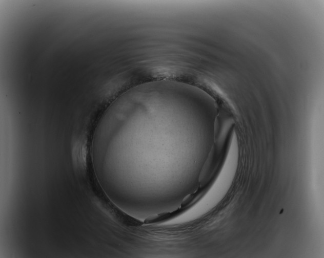 X0000088380637200705291348