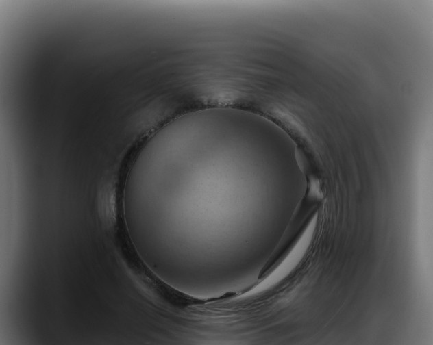 X0000088380638200705291348