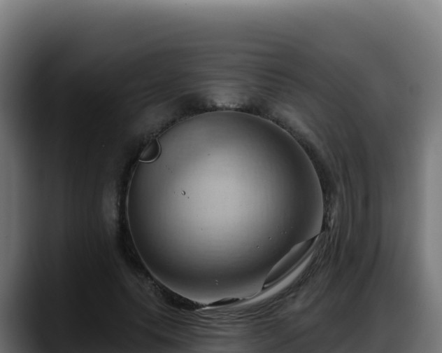 X0000088380639200705291348