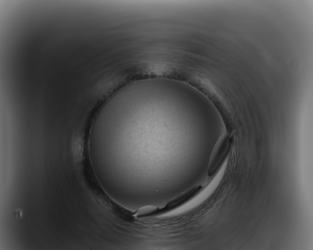 X0000088380640200705291348