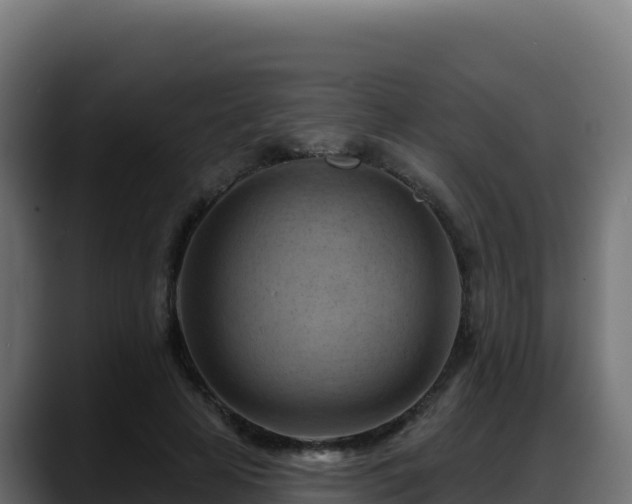 X0000088380641200705291348