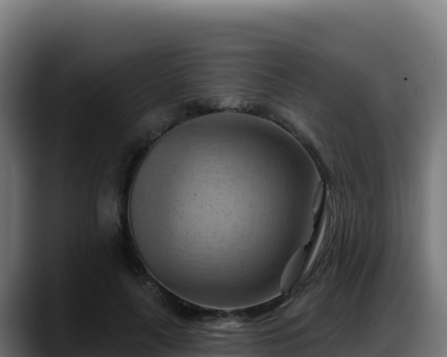 X0000088380643200705291348