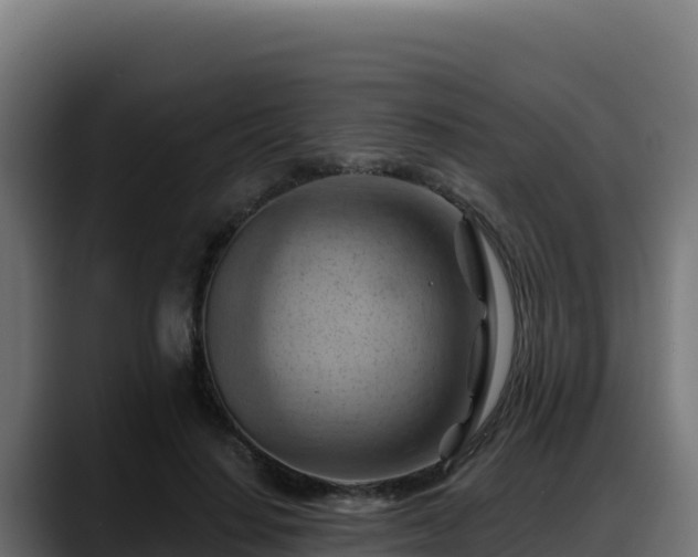 X0000088380644200705291348
