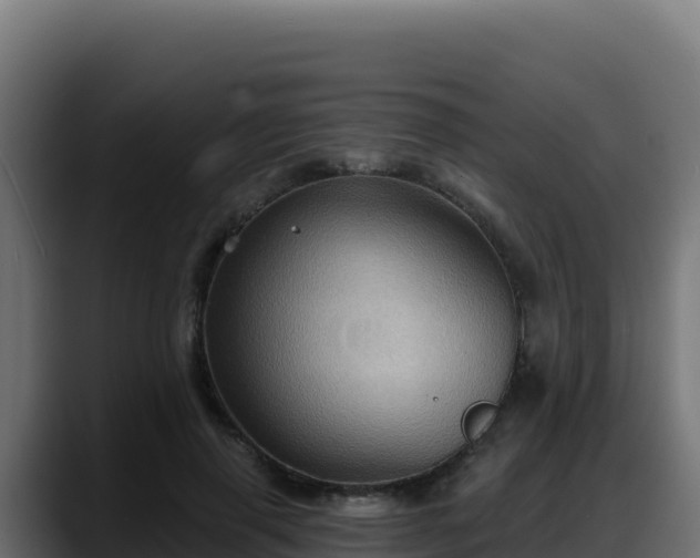 X0000088380645200705291348