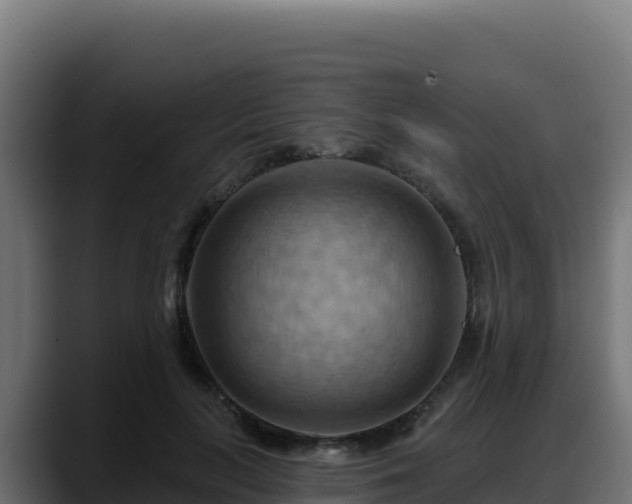 X0000088380647200705291348