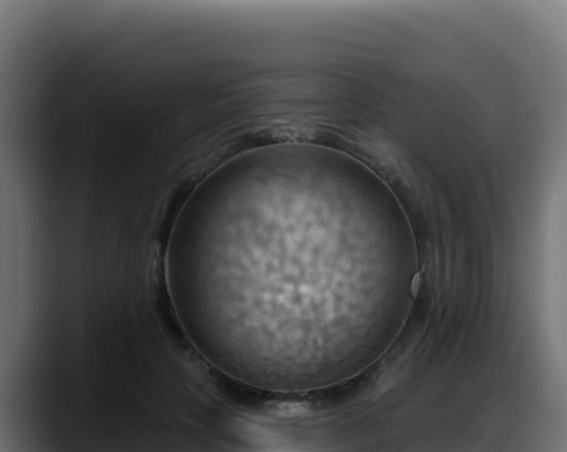 X0000088380649200705291348