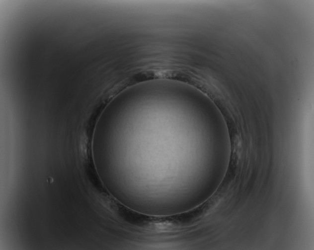 X0000088380650200705291348
