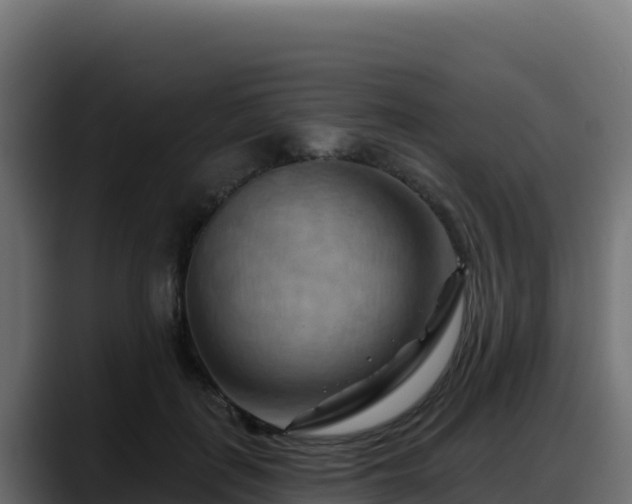 X0000088380651200705291348