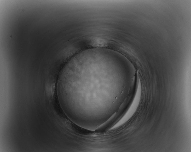 X0000088380652200705291349