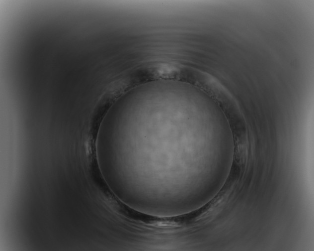 X0000088380654200705291349