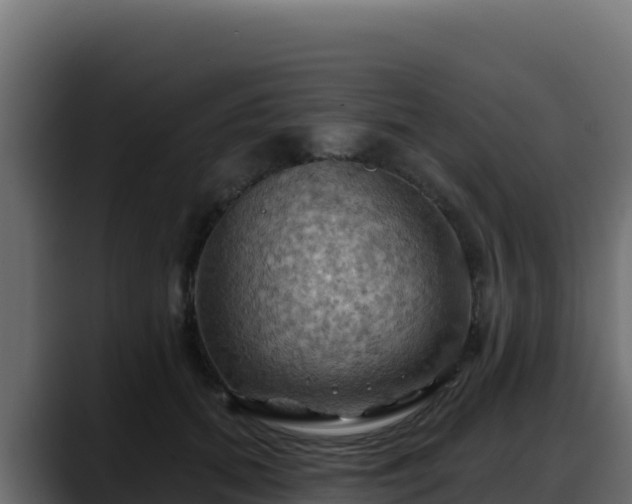 X0000088380655200705291349