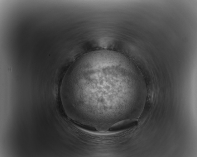 X0000088380656200705291349