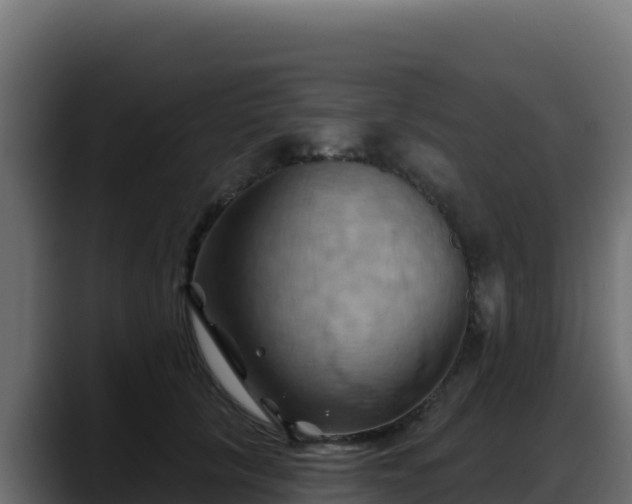 X0000088380657200705291349