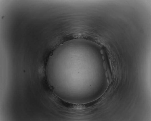 X0000088380659200705291349