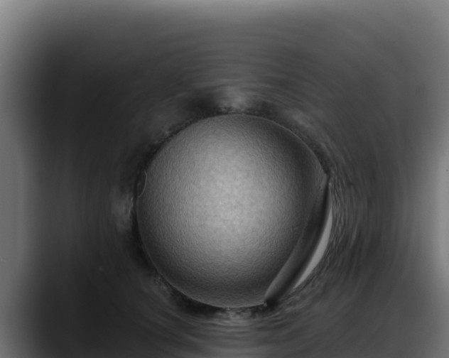 X0000088380660200705291349