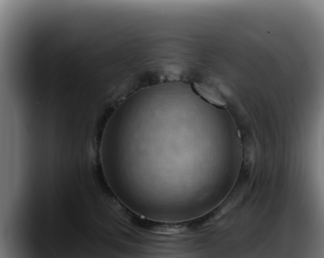 X0000088380661200705291349