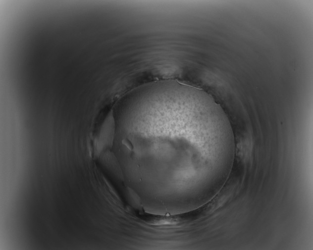 X0000088380662200705291349
