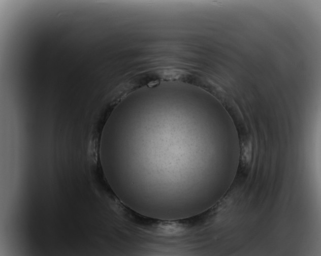 X0000088380666200705291349