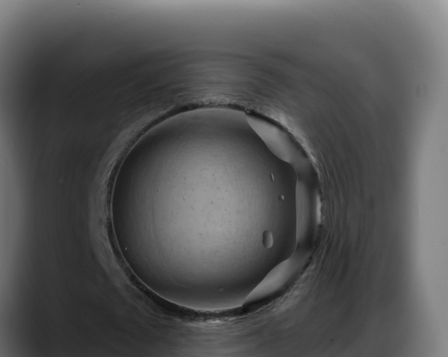 X0000088380673200705291348