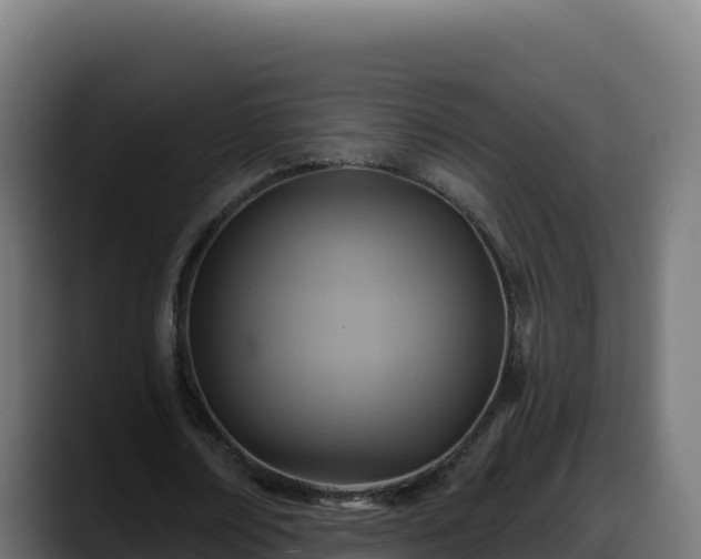 X0000088380674200705291348