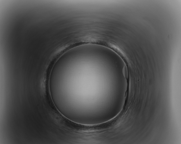 X0000088380675200705291348