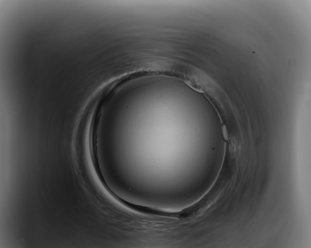 X0000088380676200705291348