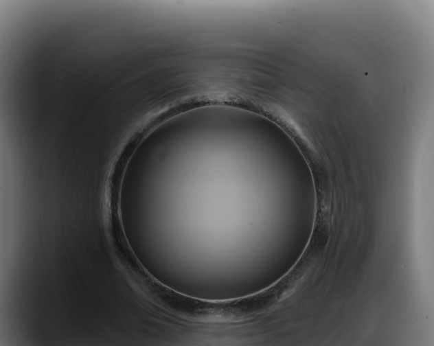X0000088380678200705291348