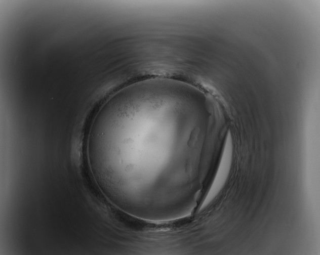 X0000088380679200705291348