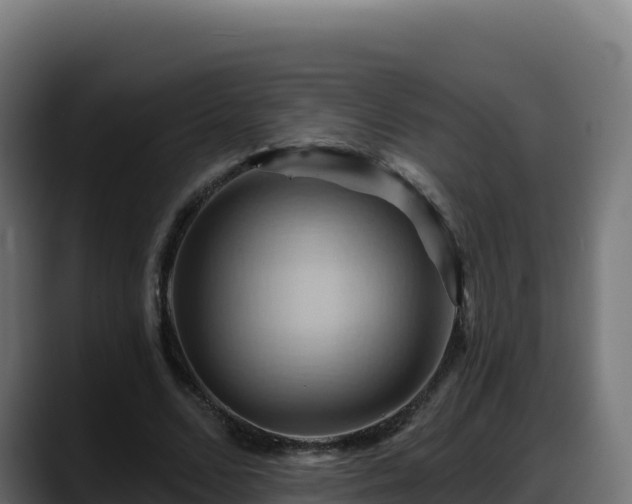 X0000088380680200705291348