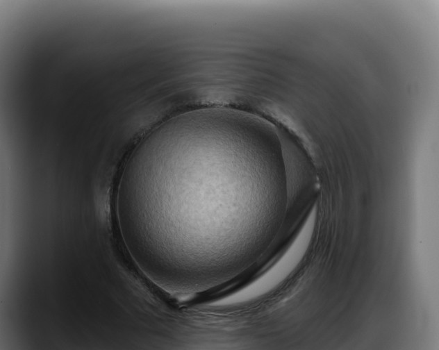 X0000088380681200705291348