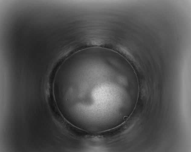 X0000088380683200705291348