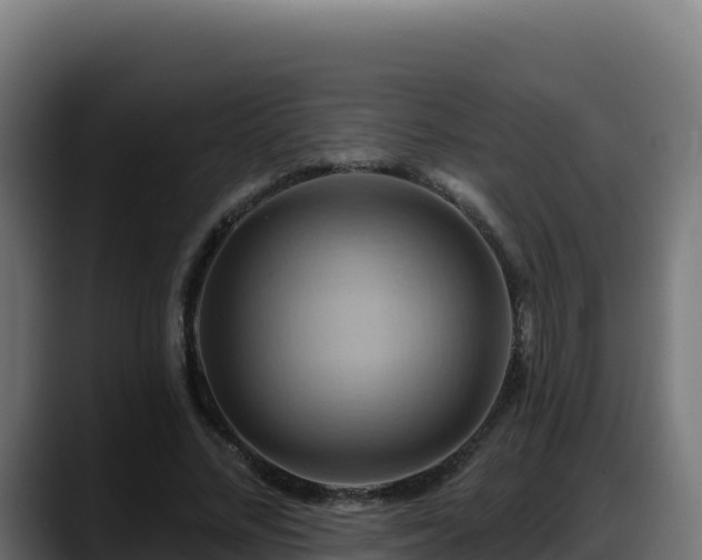 X0000088380684200705291348