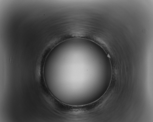X0000088380686200705291348