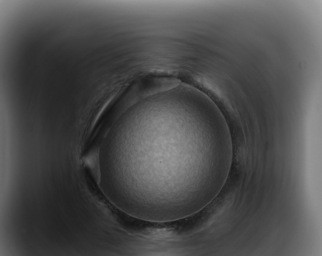 X0000088380689200705291348