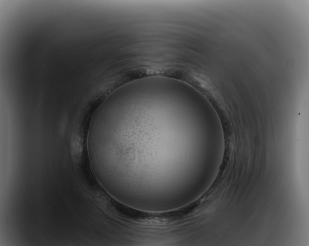 X0000088380691200705291348