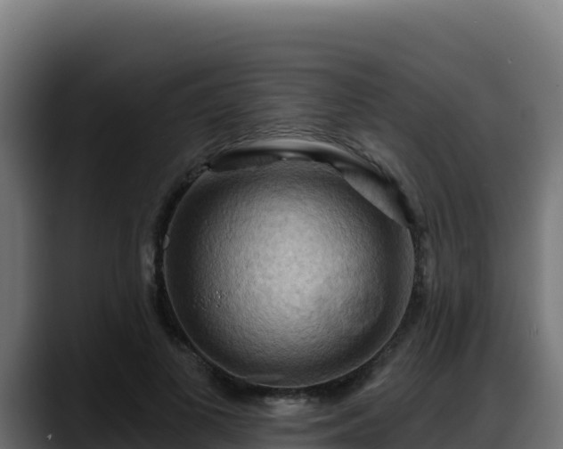 X0000088380693200705291348