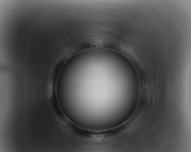 X0000088380694200705291348