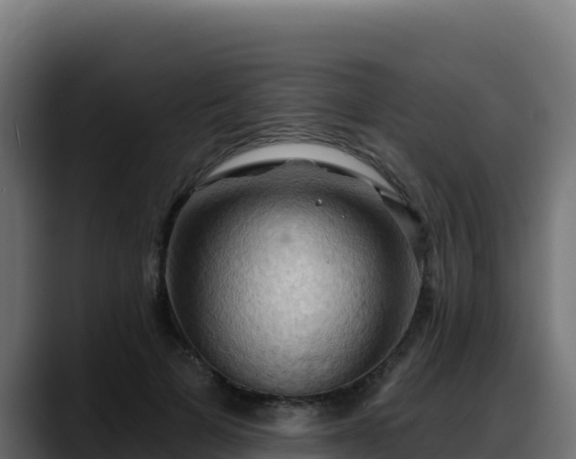 X0000088380697200705291348