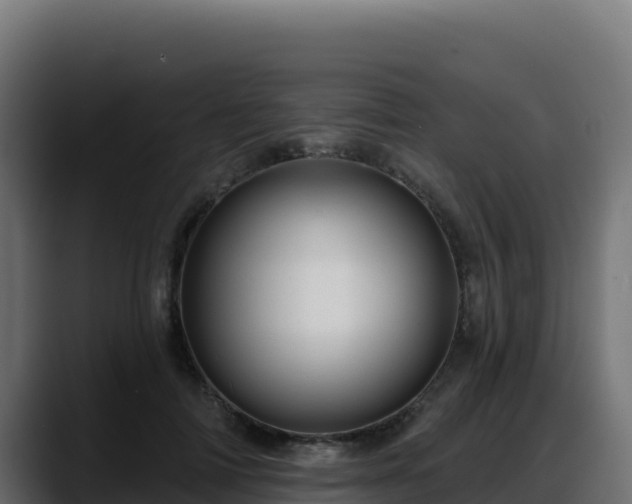 X0000088380698200705291348
