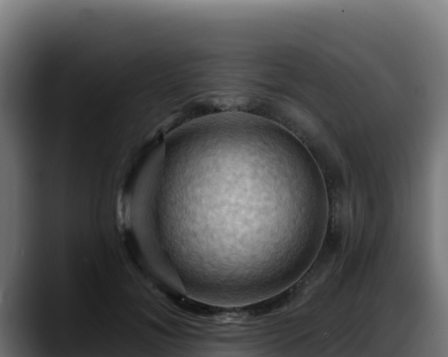 X0000088380700200705291348