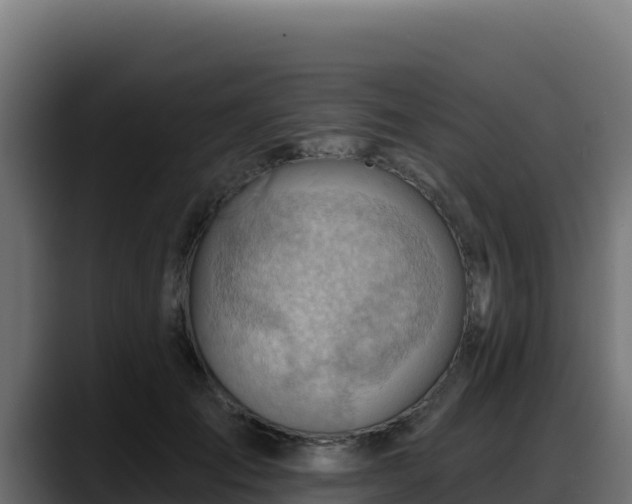 X0000088380701200705291348