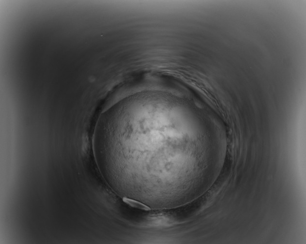 X0000088380704200705291348